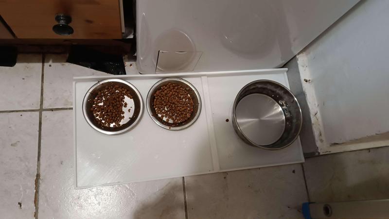 Cat feeding mat for 2 cats (TPU)