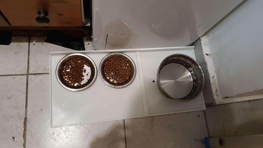 Cat feeding mat for 2 cats (TPU)