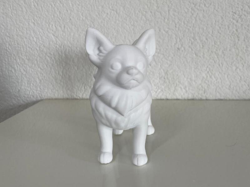 Standing Chihuahua