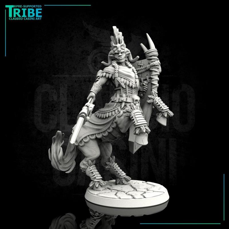 (0114) Male warrior centaur with spear and shield