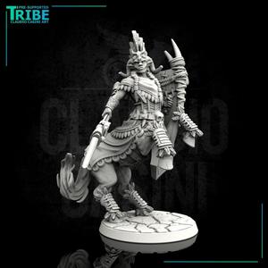 (0114) Male warrior centaur with spear and shield