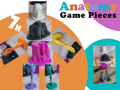 Anatomy Game Pieces