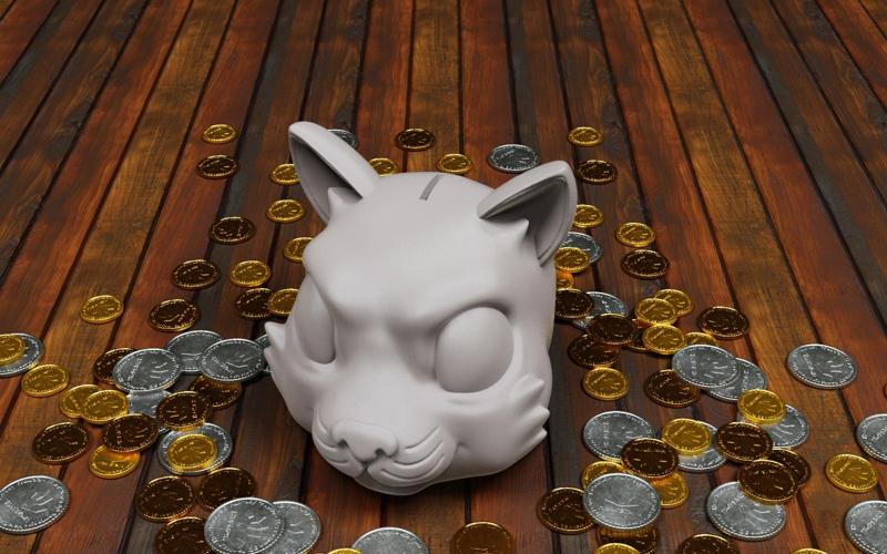 Cat money box