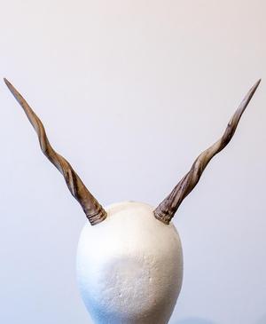 Twisted Antelope Horns