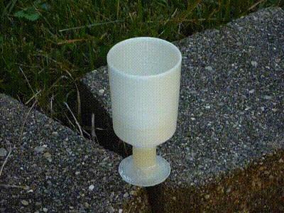 Tantalus Cup for Studying the Action of a Siphon