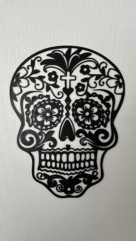 Skull Wall Art #3