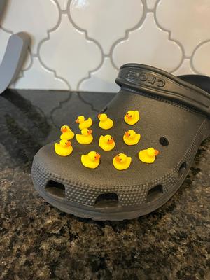 Duck Croc Charm