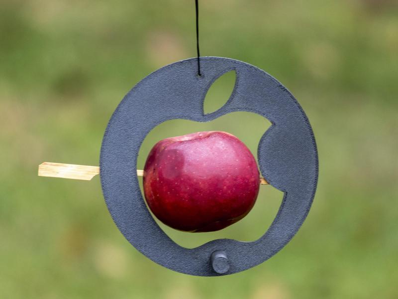 Apple Fruit Bird Feeder