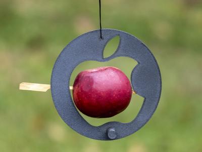Apple Fruit Bird Feeder