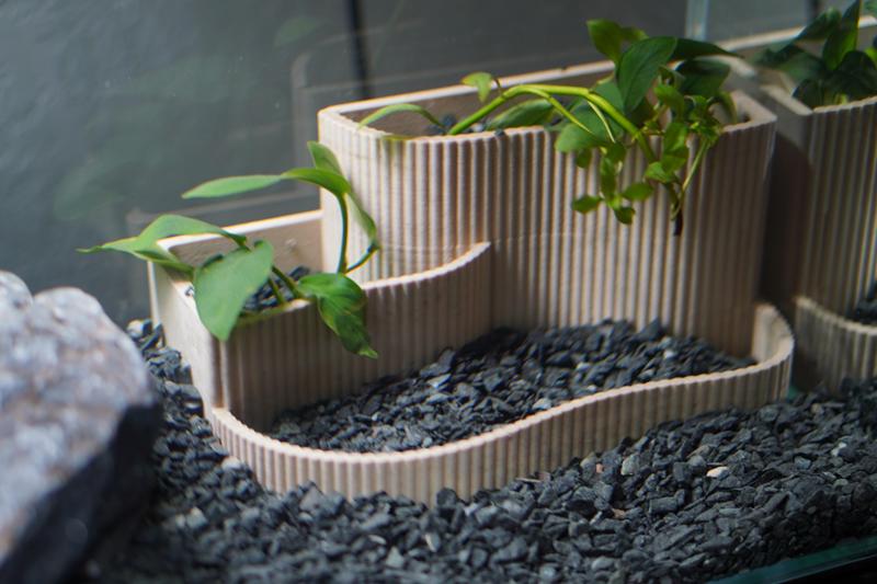 Small Aquarium Planter | Tiered Aquascape