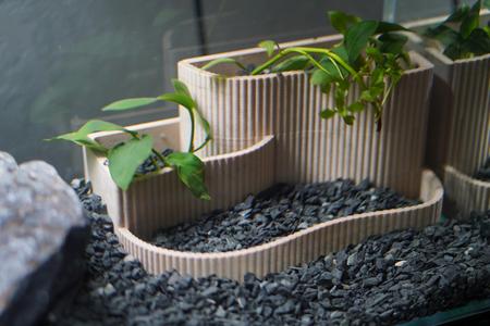 Small Aquarium Planter | Tiered Aquascape