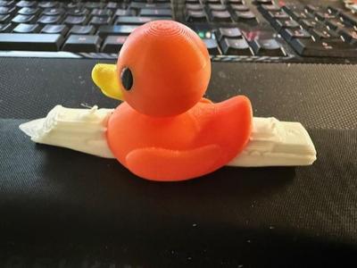 Cruise Duck