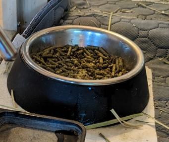 Bowl Base