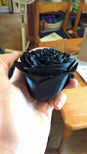 95 Petal Flower