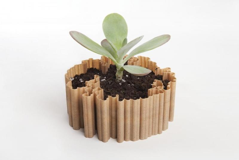 Dendritas v3.0
