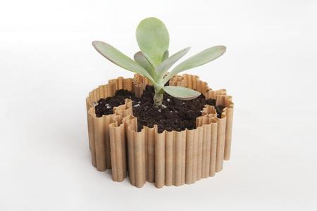 Dendritas v3.0