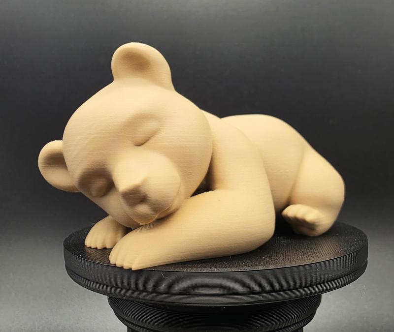 Sleeping Bear Cub
