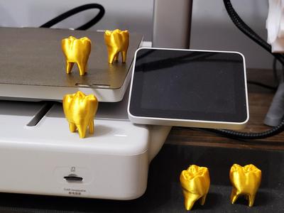 Golden tooth golden teeth human tooth