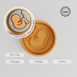 Embryo Cookie Cutter & Stamp Set, Baby Growth, Fetal Development, 6-piece in S/M/L, Perfect for Fondant & Biology Themes PRODUCT_2690