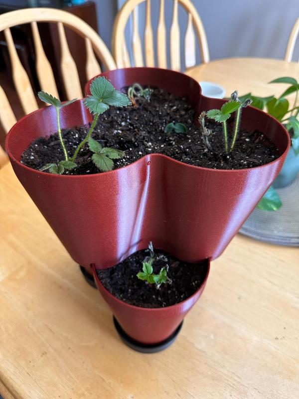 Stacking strawberry pot