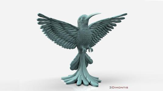 colibri humming bird