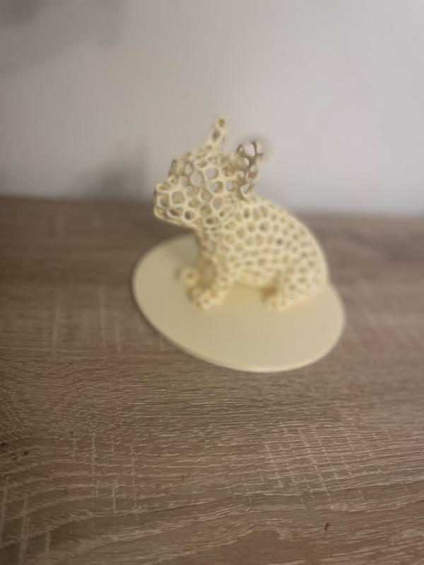 Voronoi French Bulldog  No supports