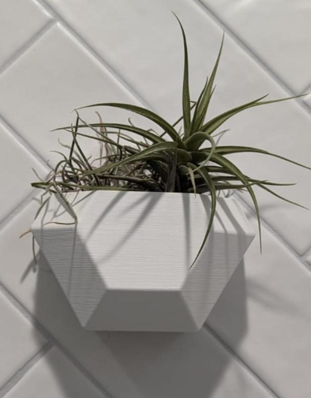 Wall planter