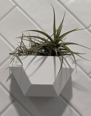 Wall planter