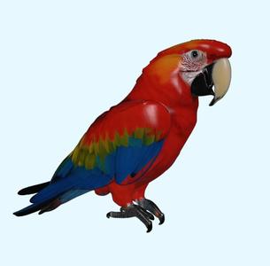 Scarlet Macaw Parrot - Realistic 3D Model