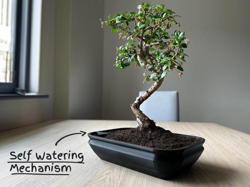 Self-watering Bonsai Planter Pot