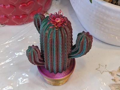 Armed Cactus with Message