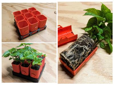 Seed/Planter Starter Cups and Tray (Self-Watering)