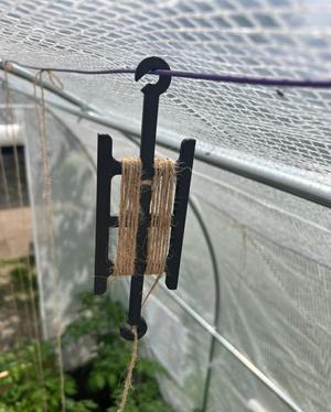 Tomato / vegetable hook for greenhouse