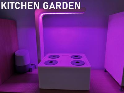 Kitchen Garden