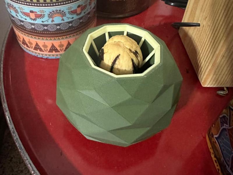 AvocadoPot