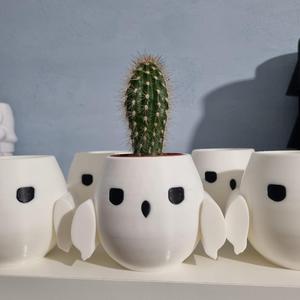 Hedwig vase