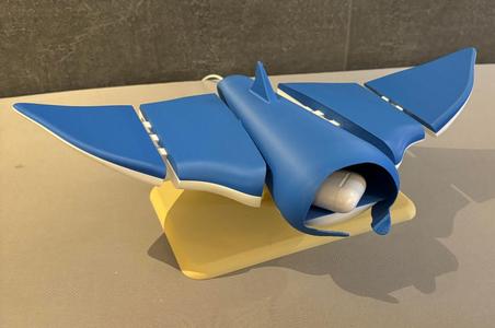 Charging Manta Ray