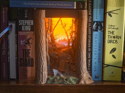 Ozark Mountain Sunset Book Nook