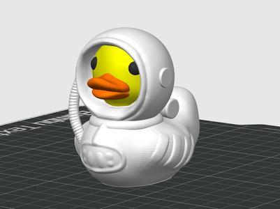 Space Duck