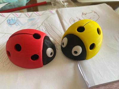 Ladybug brings good luck/pencils