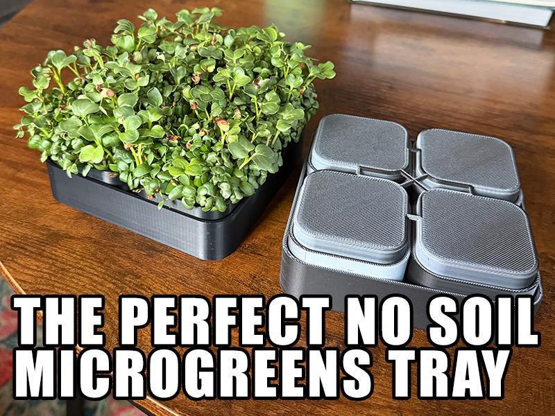 The Perfect NO SOIL Microgreens Tray