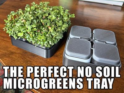 The Perfect NO SOIL Microgreens Tray