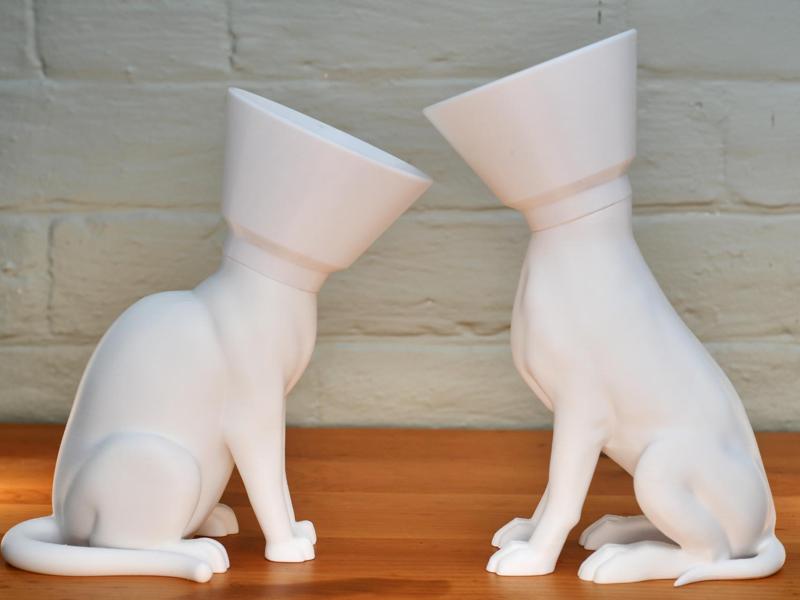 Cone of Shame Holders 