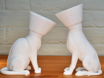 Cone of Shame Holders 