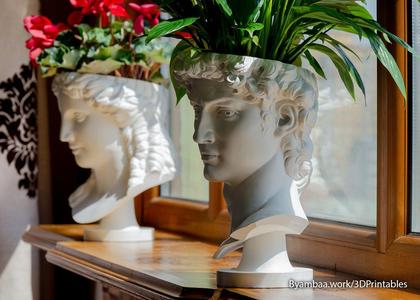 David flowerpot