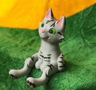 Shelf Cat