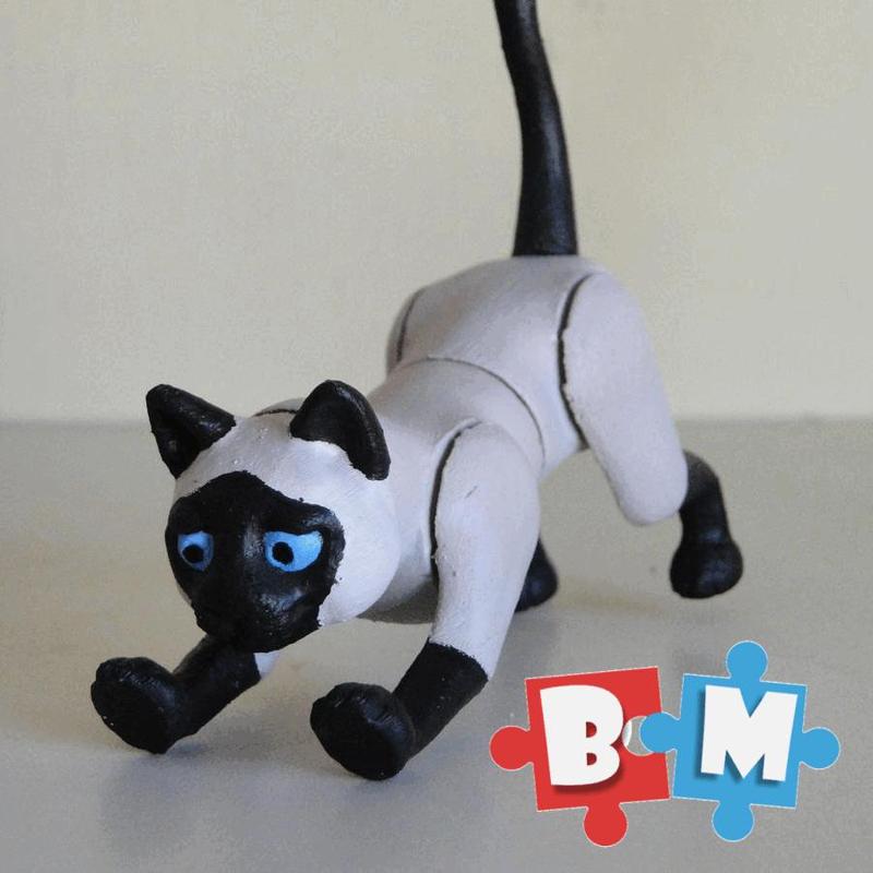 Shark Cat BEAST MIX