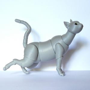 Cat BJD