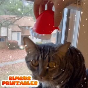 Santa Cat Hat 🎅