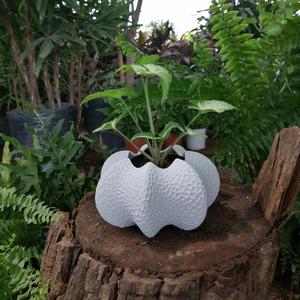 Star Coral Vase
